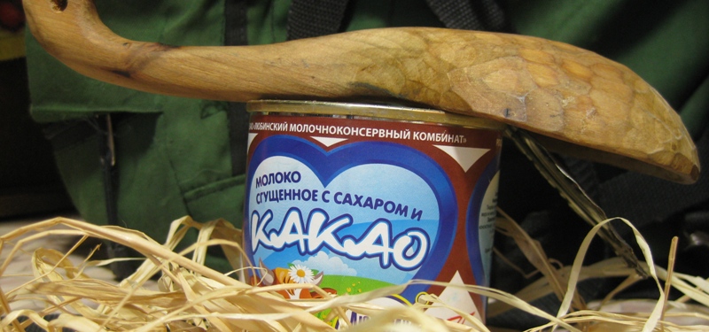 Выжить. И повеселиться!