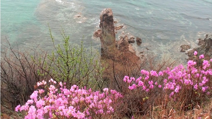 море в мае