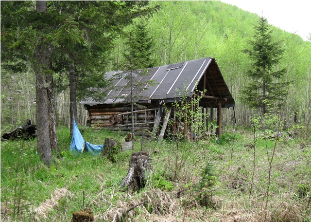 зимовье