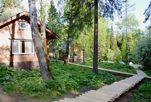 школа ИТО, красноярские столбы
